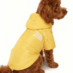 کاپشن طرح The North Dog