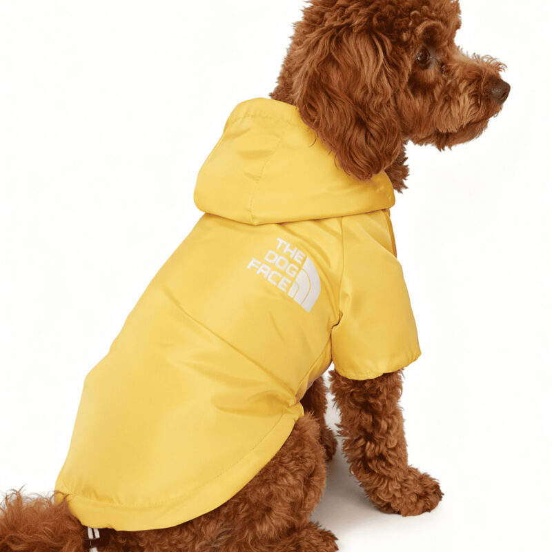 کاپشن طرح The North Dog