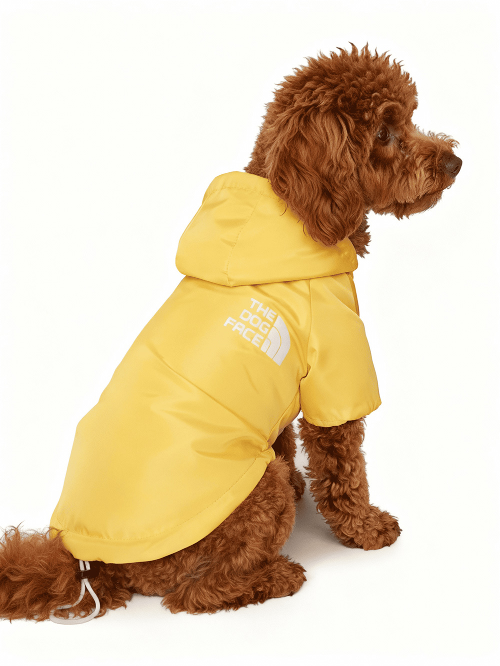 کاپشن طرح The North Dog