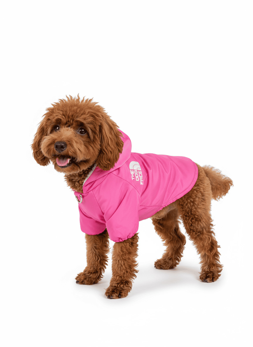 کاپشن طرح The North Dog - تصویر 13