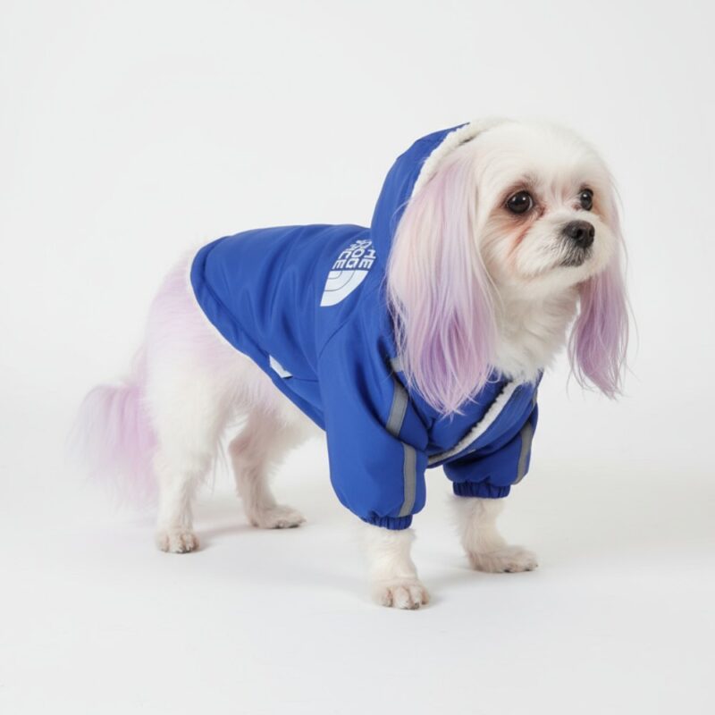 کاپشن طرح The North Dog کد w128